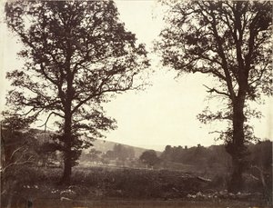 Landscape with Elms, Ashdown, Great Britain by William 2nd Earl of Craven