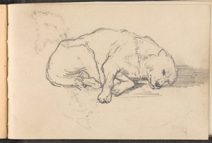 Sketch of a Sleeping Dog by William Barnes Wollen