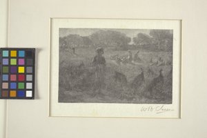 The Turkey Pasture