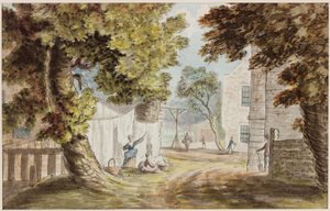 Busy Cottage