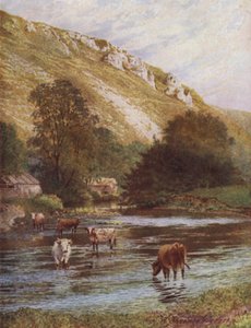 On the Wye, Upper Dale Farm, Monsal Dale