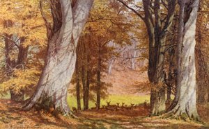 The Wilberforce Oak, Holwood Park, Keston by William Biscombe Gardner