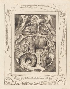 Behemoth and Leviathan