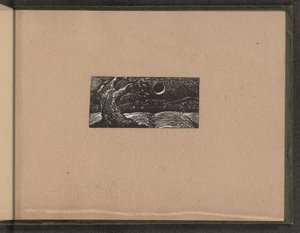 Blasted Tree and Flattened Crops