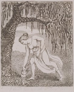 I Found Him Beneath a Tree, plate 3 from 
