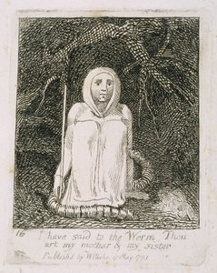 I Have Said to the Worm Thou Art My Mother and My Sister, Plate 17 from 
