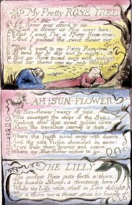 My Pretty Rose Tree; Ah! Sunflower; The Lilly: Plate 44 from 
