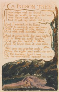 Songs of Innocence and of Experience, Plate 41, A Poison Tree (Bentley 49)