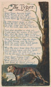 Songs of Innocence and of Experience, Plate 42, The Tyger (Bentley 42) by William Blake