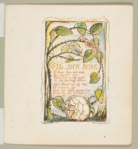 Songs of Innocence and of Experience: The Sick Rose by William Blake