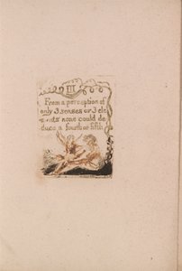 There Is No Natural Religion, Plate 5, III From a perception.... (Bentley a6) by William Blake