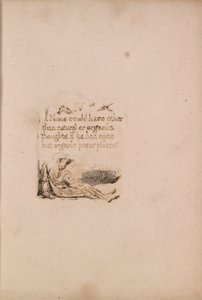 There Is No Natural Religion, Plate 6, IV None could have . . . . (Bentley a7) by William Blake