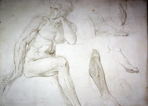Male Nude Studies