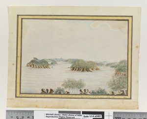 SW. Arm of Broken Bay New South Wales from an Island at the Entrance. Sepr 1789 by William Bradley