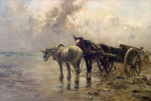 A Breezy Day