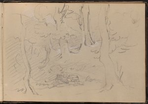 Sketch of a Group of Trees by William Brockedon