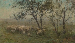 A Flock of Sheep
