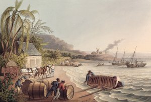 Loading Barrels of Rum and Sugar, Antigua by William Clark