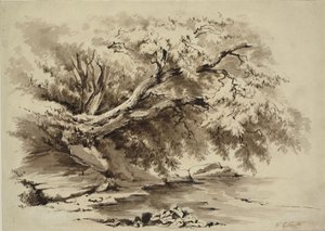 Landscape with Trees Overhanging a Lake by William Collingwood Smith
