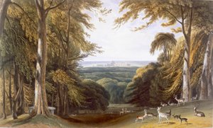 Glen in Windsor Park near Bishops Gate, c. 1827-1830