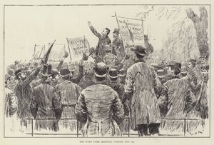 The Hyde Park Meeting, Sunday, 20 November by William Douglas Almond
