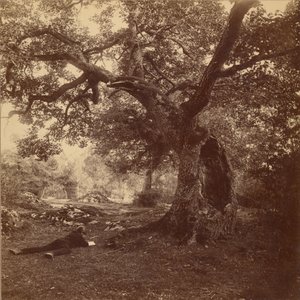 Forest of Fontainebleau by William Drooke Harrison
