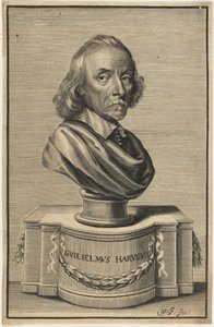 William Harvey, M.D. by William Faithorne