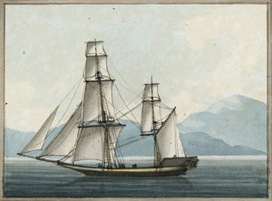 The Bombay Grab