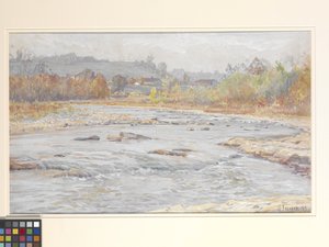 Whitewater Rapids