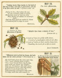 Page from The Bible Emblem Anniversary Book