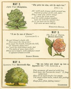 Page from The Bible Emblem Anniversary Book