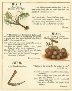 Page from The Bible Emblem Anniversary Book
