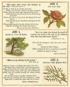 Page from The Bible Emblem Anniversary Book