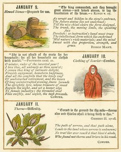Page from The Bible Emblem Anniversary Book by William Foster