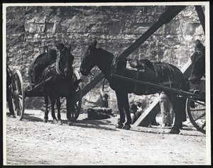 Horizontal, Black and White Photograph of Two Horse-Drawn Wagons at a Quarry by William G. Swekosky