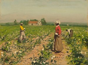 Picking Cotton by William Gilbert Gaul
