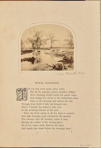 Pastoral scene with cattle in a flooded field, England