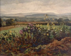 Wild Flowers