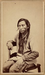 Gray Wolf, 1860s