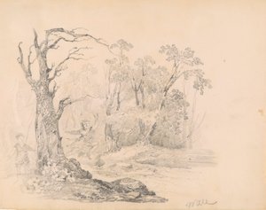 Scene from Scott by William Guy Wall
