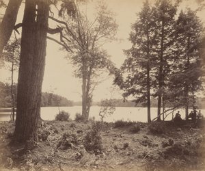 Ganoga Lake by William H. Rau