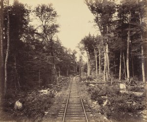 Ganoga Lake Branch by William H. Rau