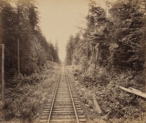 Hemlock Forest by William H. Rau