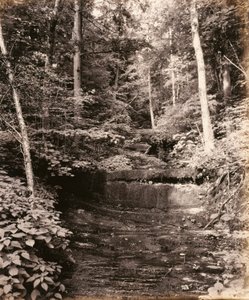 Owasco Lake, Cascade Glen, for the Lehigh Valley Railroad by William H. Rau