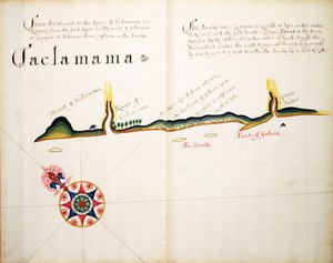 Taclamama