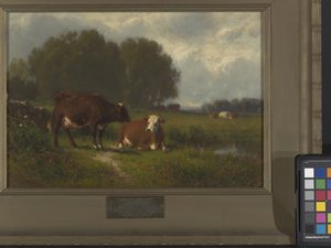 Landscape