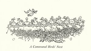 A Communal Birds