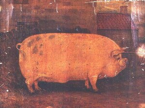 The Prize Pig Jumbo II by William Henderson
