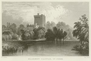 Blarney Castle in County Cork by William Henry Bartlett