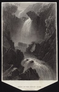 Head of Devil
